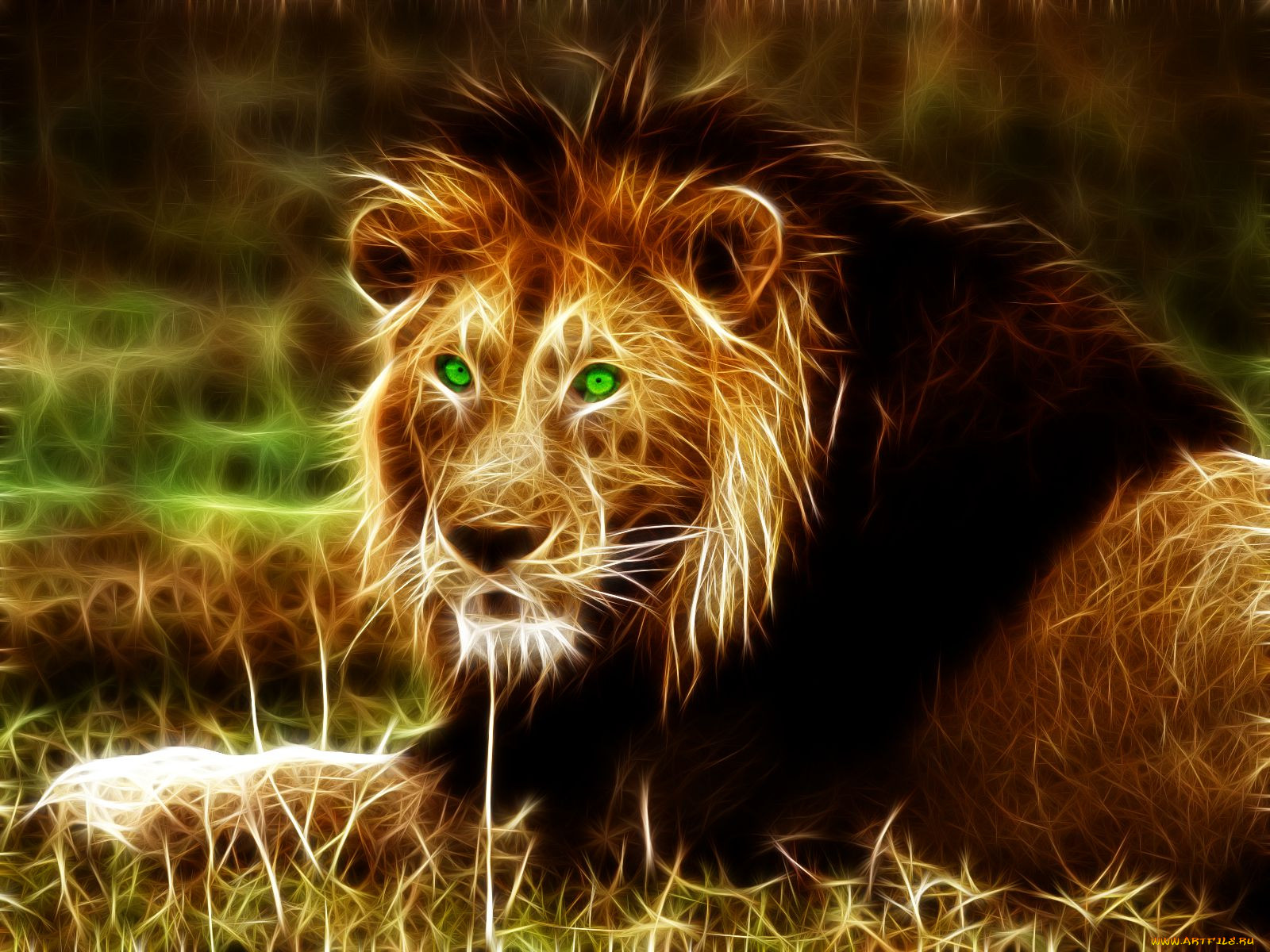 3, , animals, , 